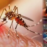 سندھ میں ڈینگی کے کیسز میں اضافہ، کراچی ڈویژن سب سے زیادہ متاثر