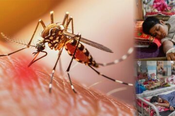 سندھ میں ڈینگی کے کیسز میں اضافہ، کراچی ڈویژن سب سے زیادہ متاثر