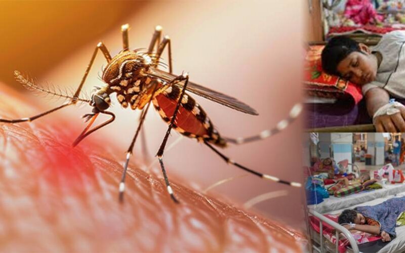 سندھ میں ڈینگی کے کیسز میں اضافہ، کراچی ڈویژن سب سے زیادہ متاثر