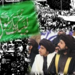 وفاقی کابینہ نے تحریک لبیک پاکستان پر پابندی کی منظوری دے دی