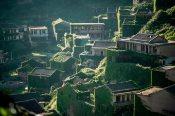 وہ سنسان گاؤں جسے چند برسوں میں قدرت نے اپنی آغوش میں لے لیا