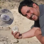 کروڑوں سال پرانا ڈائنا سور انڈہ حیرت انگیز طور پر سالم حالت میں دریافت