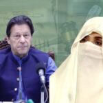 عمران خان کے دورِ حکومت میں اہم فیصلوں پر بشریٰ بی بی کے اثرات؟