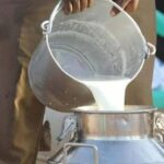 ملک بھر میں زہریلا دودھ سپلائی کرنے والا نیٹ ورک بے نقاب، متعدد اہم گرفتاریاں