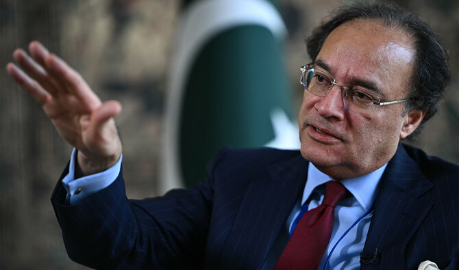 حکومت کا کام روزگار فراہم کرنا نہیں، ملکی سوچ بدلنا ہوگی: وزیرِ خزانہ