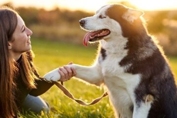 انسان نے کتوں سے پہلے کون سا جانور پالا؟ حیران کن سائنسی انکشاف